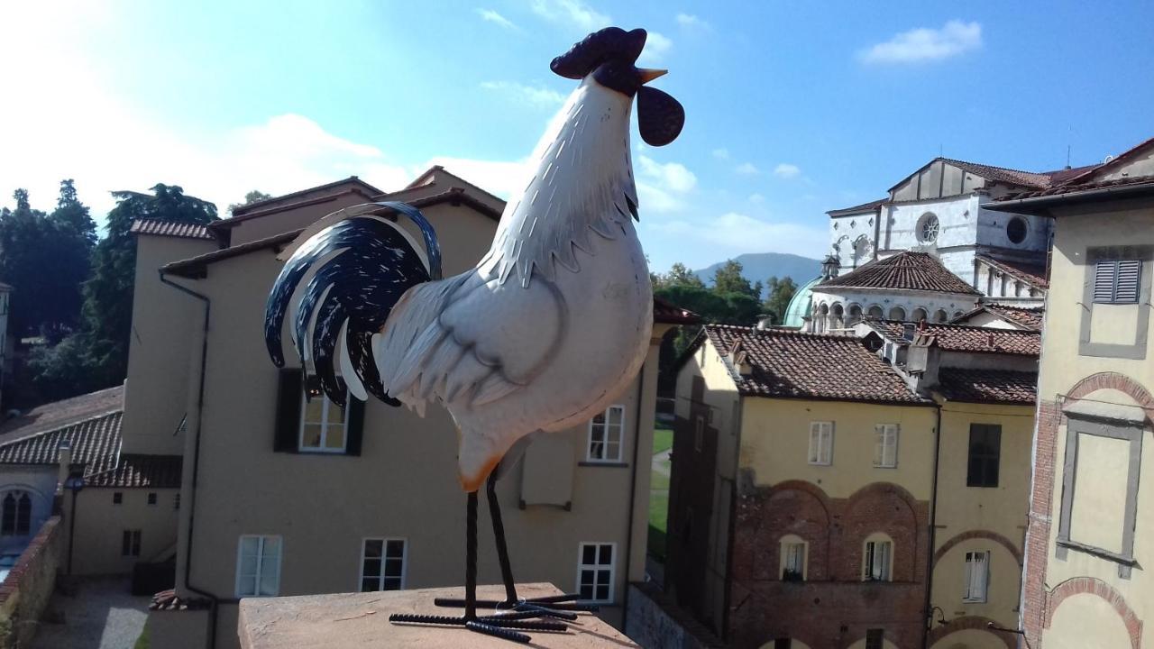 Terrazza Coccode' Spazioso Con Vista Mozzafiato! Lucca Dış mekan fotoğraf