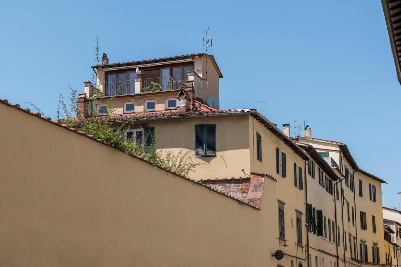 Terrazza Coccode' Spazioso Con Vista Mozzafiato! Lucca Dış mekan fotoğraf