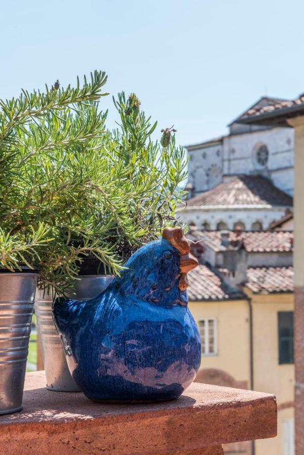 Terrazza Coccode' Spazioso Con Vista Mozzafiato! Lucca Dış mekan fotoğraf