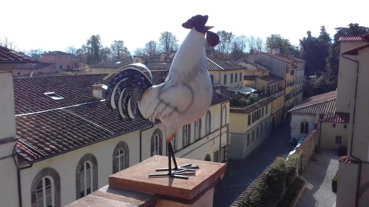 Terrazza Coccode' Spazioso Con Vista Mozzafiato! Lucca Dış mekan fotoğraf